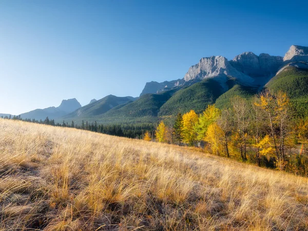 Berglandschaft Morgen Sonnenstrahlen Einem Tal Feld Und Wald Einem Bergtal — Stockfoto
