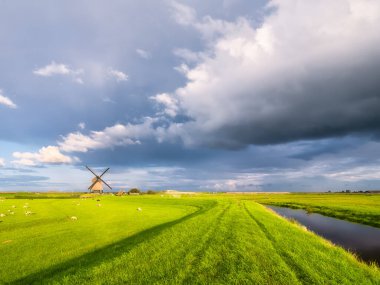 Yel değirmeni olan minimalist bir manzara. Fırtınadan önce büyük bir bulut. Hayvanlar için tarla ve çayır. Tarım alanları ve otlaklar. Hollanda 'da yaz manzarası.