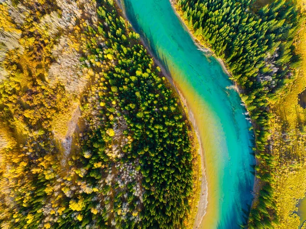 Pemandangan Musim Gugur Sebuah Pesawat Tak Berawak Melihat Sungai Hutan — Stok Foto
