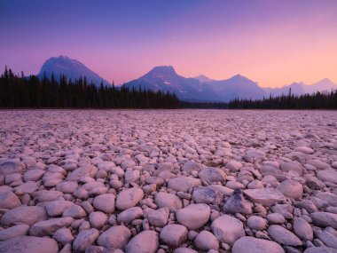 Gün doğumunda manzara. Nehir kıyısındaki yuvarlak kayalar. Banff Ulusal Parkı, Alberta, Kanada. Dağlar ve orman. Şafak vakti canlı renkler. Doğal manzara..