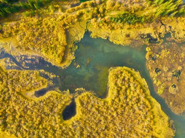 Sonbahar manzarası. Ormandaki göl ve nehrin drone görüntüsü. Bir sonbahar ormanının havadan görünüşü. Sahada kıvrılan nehir. Gün batımından önce yumuşak ışıkla manzara. Arkaplan ve duvar kağıdı.