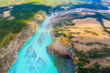 A drone view of the river in the mountains valley. An aerial view of an autumn forest. Winding river among the trees. Turquoise mountain water. Landscape with soft light before sunset. 