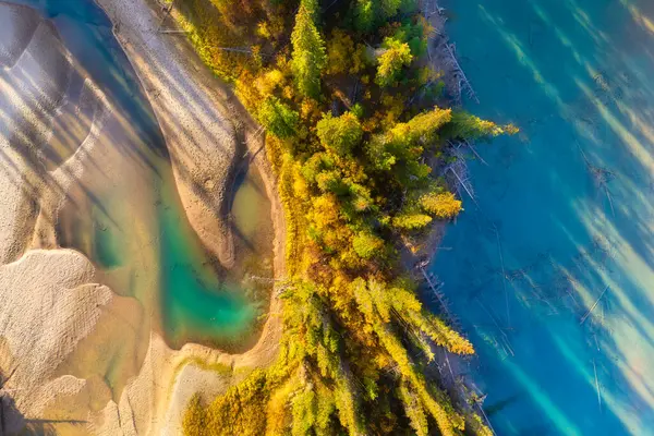 A drone view of the river in the forest. An aerial view of an forest. River among the trees. Aerial landscape. Landscape with soft light before sunset.
