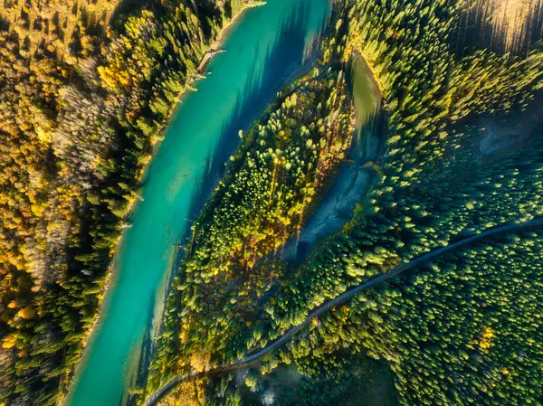 Sebuah Pesawat Tak Berawak Melihat Sungai Hutan Pemandangan Udara Dari Stok Gambar Bebas Royalti