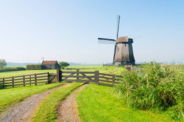 Hollanda 'da eski bir yel değirmeni manzarası. Yel değirmenine giden yol. Tarım. Tarihi binalar. Hollanda 'daki manzaraların manzarası. Doğa sabahları.