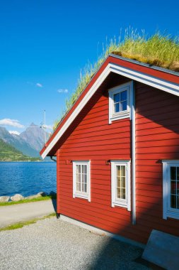 Çatıda yosun olan geleneksel İskandinav evleri. Norveç 'teki güzel dağ gölü. Fiyortlarda doğa. Norveç 'te yaz tatili ve seyahati.