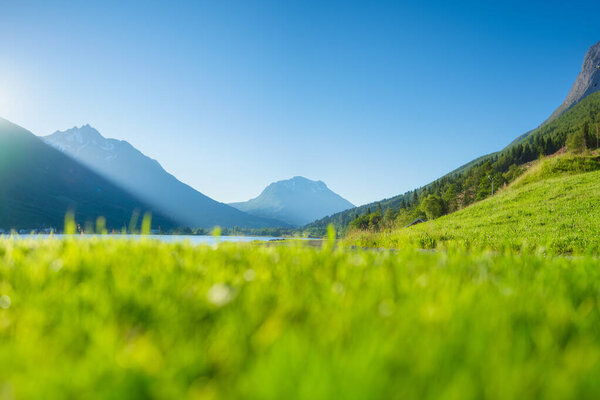 Nature View Mountain Valley Field Fresh Grass Beautiful Summer View Royalty Free Stock Images