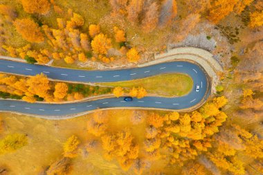 Kavisli bir yolun drone görüntüsü. Ormanın ortasında asfalt yol. Havadan sonbahar manzarası. Ulaşım ve yol gezileri. Arkaplan, duvar kağıdı, kartpostallar için fotoğraf.