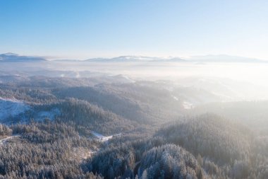 Dağ vadisi. İnsansız hava aracı sahnesi. Orman karla kaplı. Havadan gelen doğal kış manzarası. İnsansız hava aracından peyzaj. Kartpostallar, arka planlar, duvar kağıtları için fotoğraf.