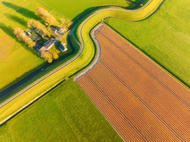Sıra sıra alan. Kavisli bir yolun drone görüntüsü. Tarladan geçen yol. Doğa. İHA 'dan gelen lalelerle dolu bir alan. Arkaplan, duvar kağıdı, kartpostallar için fotoğraf.