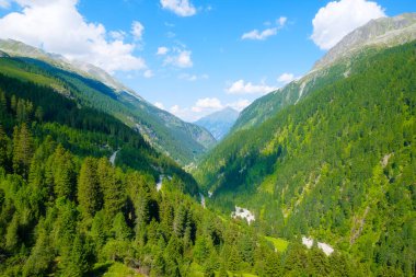 Dağ vadisi ve orman. Yaz boyunca dağ manzaraları. Sıcak güneşli hava ve açık gökyüzü. Dağ yürüyüşü, seyahat ve tatil için bir yer. Duvar kağıdı, kartpostal, fotoğraf..