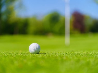 Golf topu ve vuruş yönleri. Spor ve hobiler. Spor müsabakaları ve aktif eğlence. Bireysel ve takım oyunu. Bulanık arkaplanda golf topu.