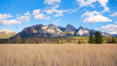 Dağ manzarası. Vadideki güneş ışınları. Bir dağ vadisinde tarla ve orman. Parlak güneş ışığıyla doğal manzara. Yüksek kayalık dağlar. Banff Ulusal Parkı, Alberta, Kanada. 