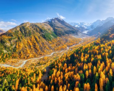 Dağ vadisinin insansız hava aracı görüntüsü. Ormanın ortasındaki nehir. Havadan sonbahar manzarası. Dağlarda güneş ışınları. Arkaplan, duvar kağıdı, kartpostallar için fotoğraf.