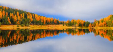 Doğa. Göl ve sonbahar ormanı. Simetrik bileşim. Panoramik manzara. Su yüzeyindeki yansımalar. Doğaya inanılmaz bir bakış açısı. Arkaplan, duvar kağıdı, kartpostallar için fotoğraf.