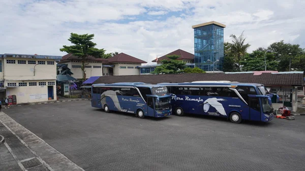 Bus Antarprovinsi Berhenti Menunggu Penumpang Terminal Giwangan Angkutan Umum Dengan — Stok Foto