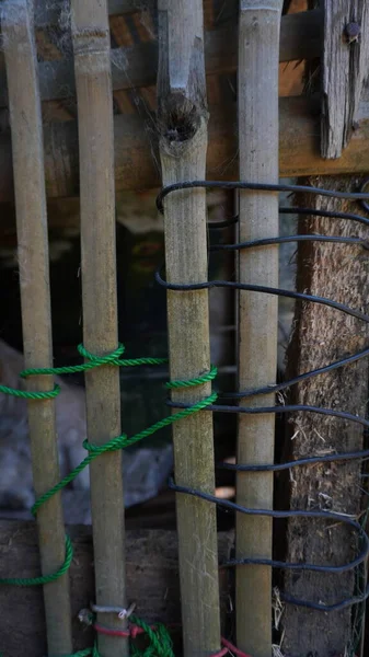 用绳子捆住的竹子 猫笼的一部分 — 图库照片