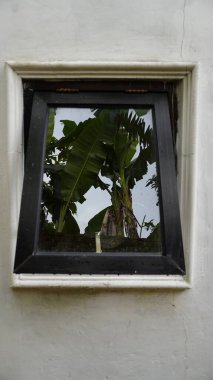 Shadow of Banana Tree Leaves on House Window with Selective Focus clipart