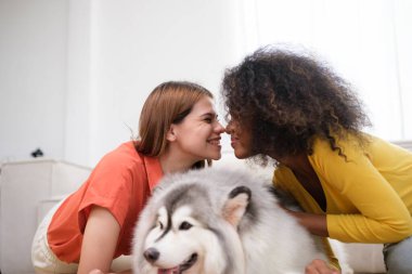 Şirin Sibiryalı Husky köpeği olan mutlu, çok ırklı kadın çift evde birlikte vakit geçiriyorlar.