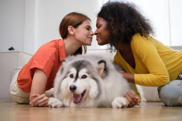 一对快乐的多种族女性夫妇和可爱的西伯利亚哈士奇犬在家里共度时光 — 图库照片