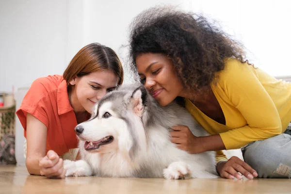 stock image Happy multiracial female couple with cute Siberian Husky  dog enjoying free time together at home