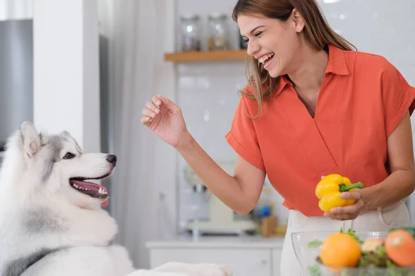 Πολυφυλετικό Λεσβιακό Ζευγάρι Απολαμβάνει Σαλάτα Μαγειρικής Σκυλί Της Στην Κουζίνα Εικόνα Αρχείου