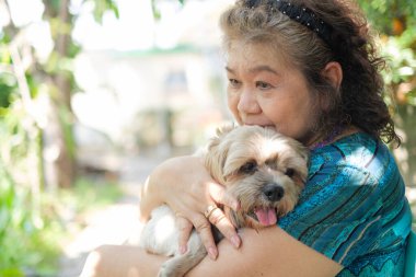 Yaşlı Asyalı kadın parkta shih tzu küçük köpeğine sarılıyor.