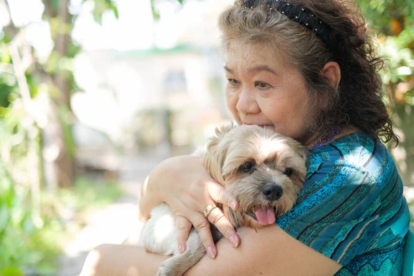 Elder asian woman hug  shih tzu small dog in the park