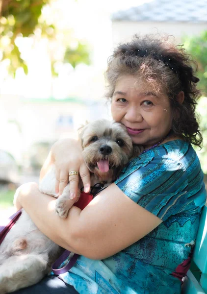 Μια Ηλικιωμένη Ασιάτισσα Αγκαλιάζει Ένα Μικρό Σκυλάκι Στο Πάρκο Εικόνα Αρχείου