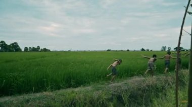 Asyalı çocuklar akşamları pirinç tarlasında oynar ve koşarlar..