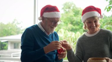 Üst düzey bir çift Noel 'i birlikte kutlar ve eğlenir. 