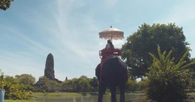 Asyalı kadın turistler fil kamplarını ziyaret ediyor ve Ayutthaya 'da fillere biniyorlar..