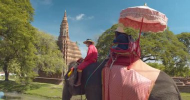 Asyalı kadın turistler fil kamplarını ziyaret ediyor ve Ayutthaya 'da fillere biniyorlar..