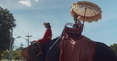 Asyalı kadın turistler fil kamplarını ziyaret ediyor ve Ayutthaya 'da fillere biniyorlar..