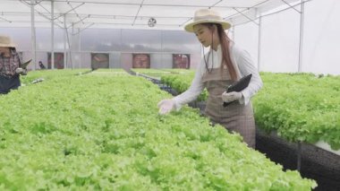 Hidrofonik çiftlikte çalışan genç Asyalı çiftçi