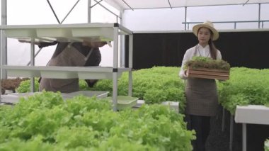 Hidrofonik çiftlikte çalışan genç Asyalı çiftçi