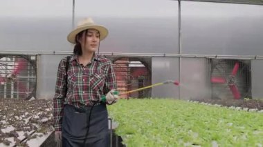 Hidrofonik çiftlikte çalışan genç Asyalı çiftçi