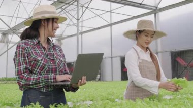 Asyalı kadın bahçıvan bitki ve su kalitesini kontrol etmek için teknolojiyi kullanarak hidroponik çiftliğinde çalışıyor.