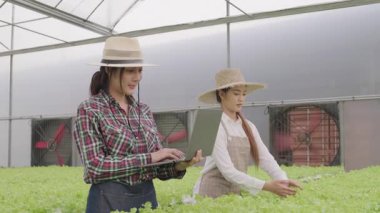 Asyalı kadın bahçıvan bitki ve su kalitesini kontrol etmek için teknolojiyi kullanarak hidroponik çiftliğinde çalışıyor.