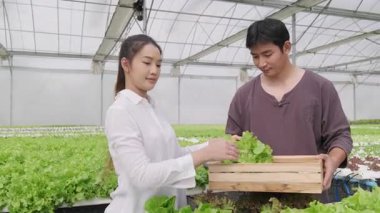 Hidrofonik çiftlikte çalışan genç Asyalı çiftçi