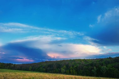Gün batımında gökyüzü bulutlu çayırların ve ormanın üzerinde.