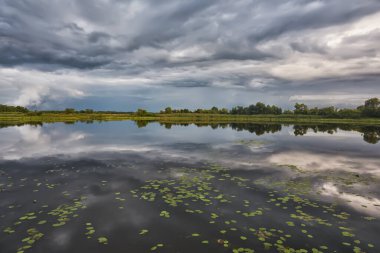 Yaz manzarası - kasvetli yağmurlu havada bir orman gölü kıyısı.