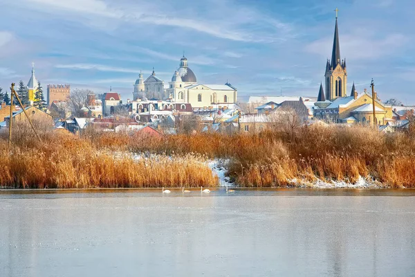 Paisagem Inverno Margem Rio Com Igrejas Templos Parque Dia Nublado — Fotografia de Stock
