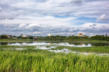 Yaz manzarası - çalılarla, ağaçlarla ve binalarla park ve nehir kıyısı bulutlu bir günde sakin sulara yansıyor.