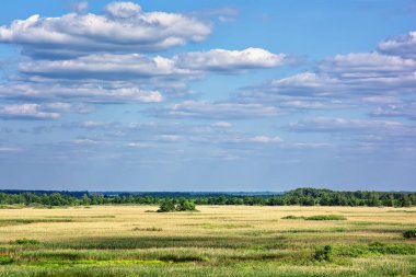 Yaz manzarası - açık ve güzel bir günde bulutlu mavi gökyüzünün altındaki çayırlar ve ormanlar.