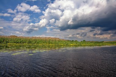Yaz manzarası - fırtınadan önce gölün kıyısı.