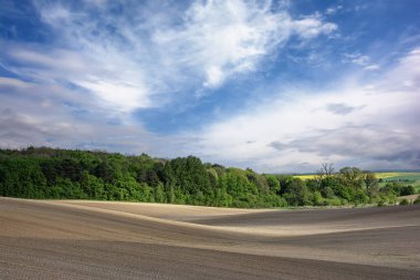 Yaz manzarası - tarlalı tarlalar, orman ve üzerinde bulutlar olan mavi gökyüzü.