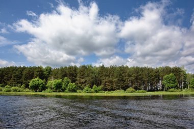 Yaz manzarası - göl kıyısı ormanla kaplı ve üzerinde bulutlar olan mavi gökyüzü güneşli havada.