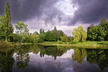 Küçük bir nehir ve kıyı şeridi, fırtınanın başlangıcında bir parkta ağaçlar ve çalılar..