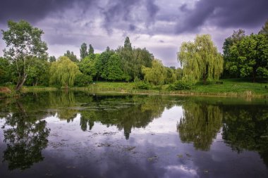 Küçük bir nehir ve kıyı şeridi, fırtınanın başlangıcında bir parkta ağaçlar ve çalılar..